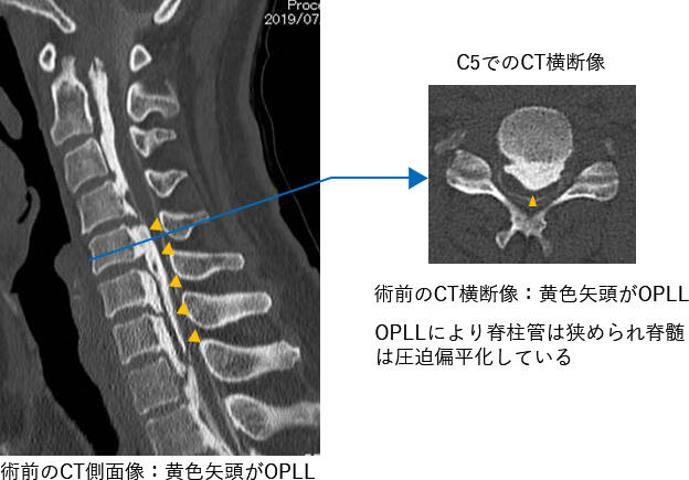 column_seikei02_02.jpg